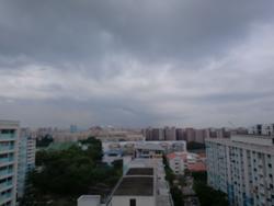 Blk 643 Hougang Avenue 8 (Hougang), HDB 5 Rooms #143872132